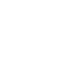 icon (2)